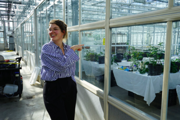 Vluchtige vingerafdrukken